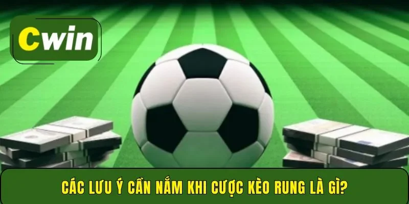 Các lưu ý cần nắm khi cược kèo rung là gì?