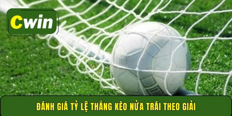 Đánh giá tỷ lệ thắng kèo nửa trái theo giải